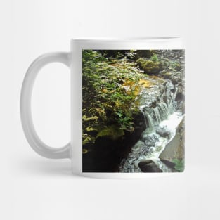 Tumbling Waters Mug